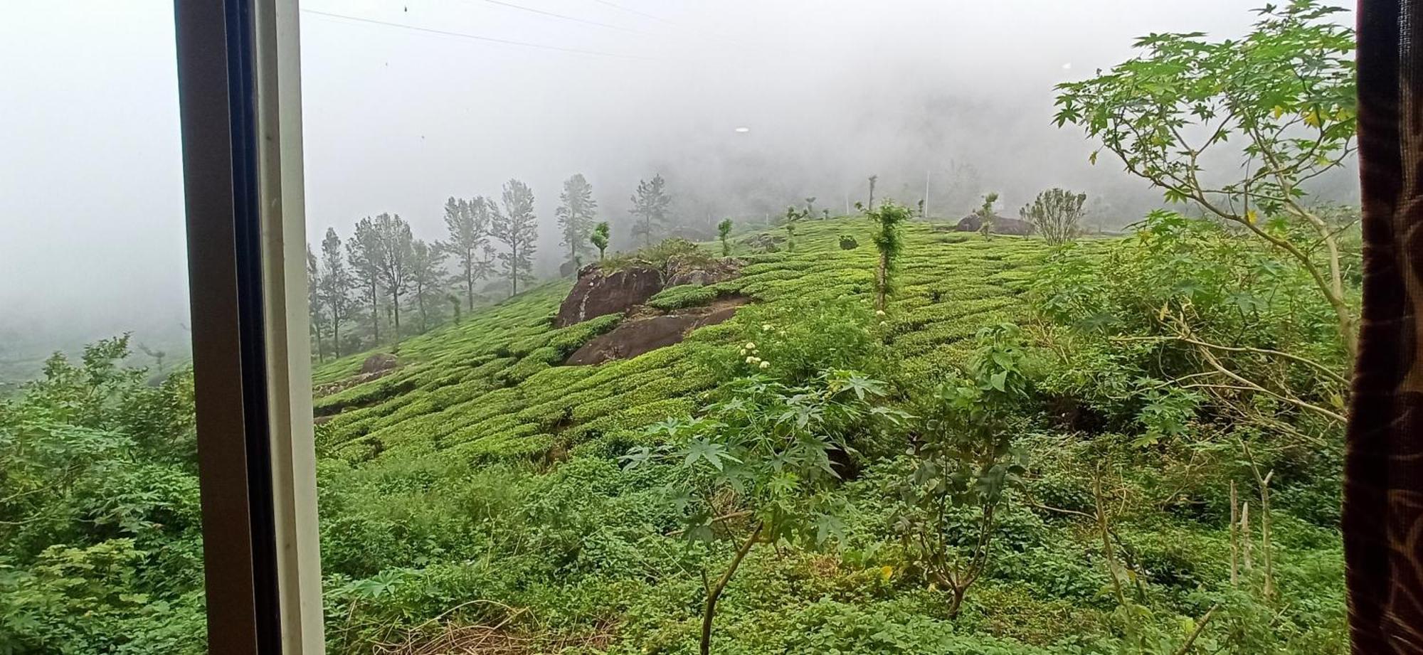 Tea Dale - All Rooms With Tea Estate View Munnar Exterior foto